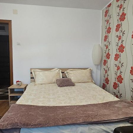 Casa Suzana Apartment Piatra Neamţ Exterior foto