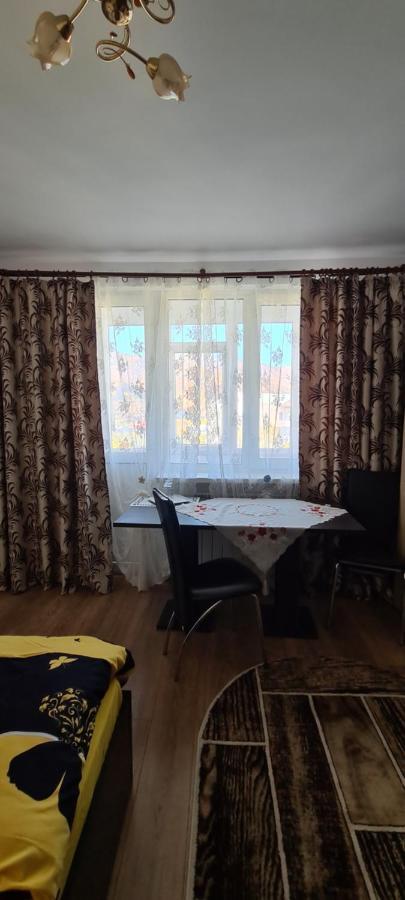 Casa Suzana Apartment Piatra Neamţ Exterior foto